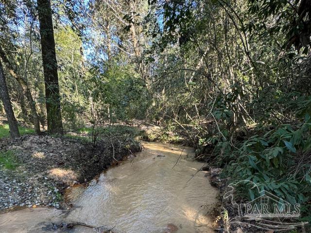 85-acres Wiley Scott Road Jay, FL 32565 - Photo 1 of 9
