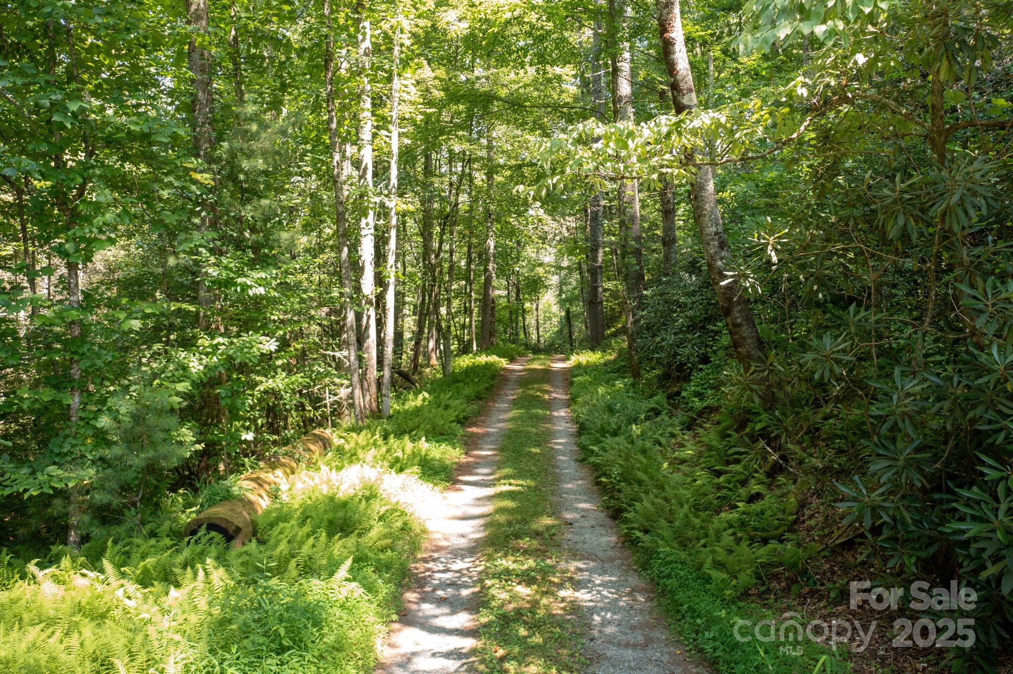 35 Pope Road Brevard, NC 28712 - Photo 29 of 30 Gallery Image 29