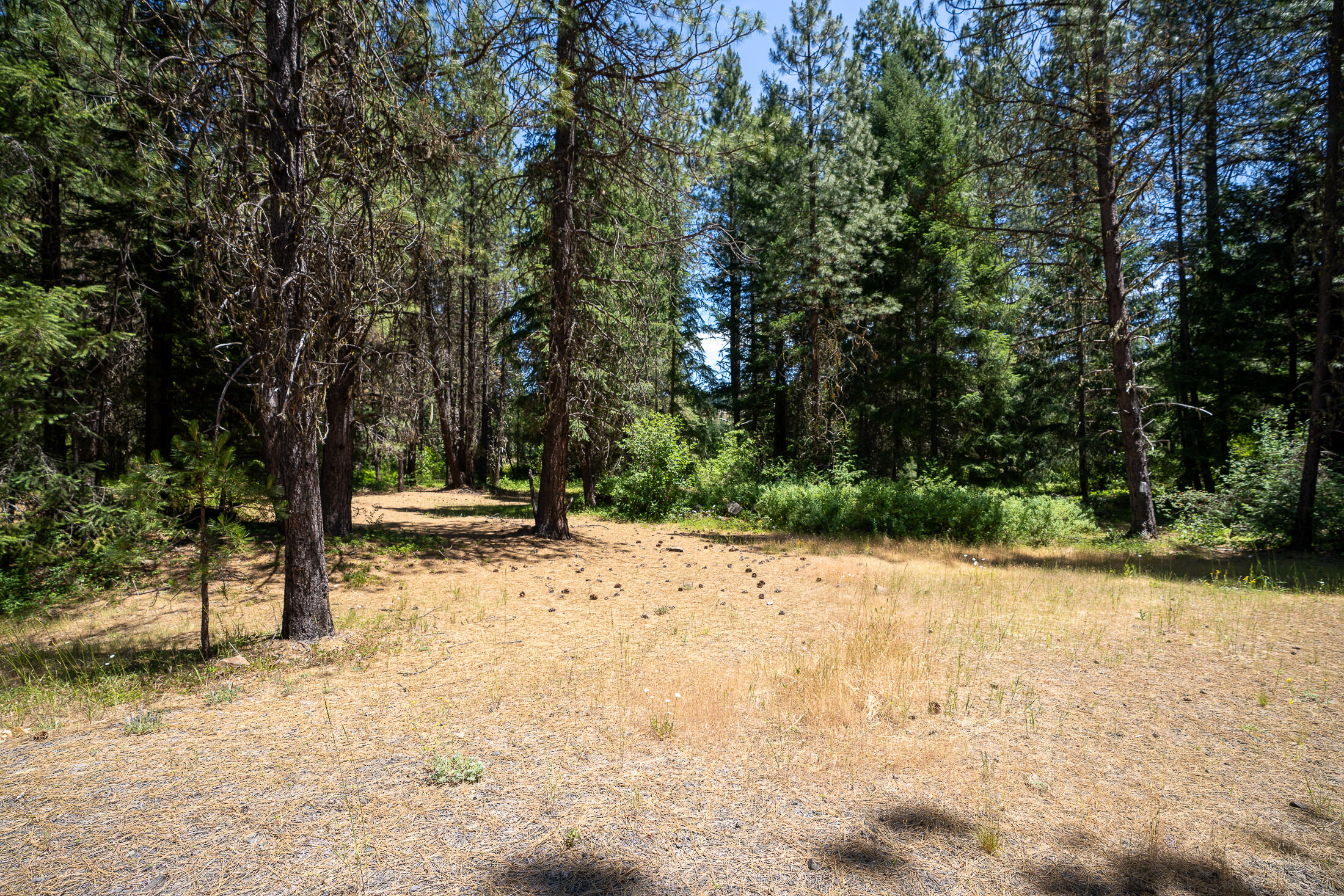 12975 Butte Falls-Prospect Road Butte Falls, OR 97522 - Photo 12 of 18 009C