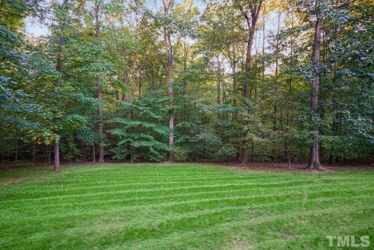 5909 Greenevers Drive Raleigh, NC 27613 - Photo 29 of 30 a view of a garden