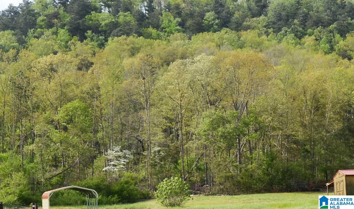 2091 Rabbittown Road, Unit 2 83 Piedmont, AL 36272 - Photo 13 of 17 Gallery Image 13