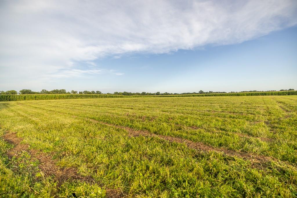 520 Northeast 15504 County Road Archie, MO 64725 - Photo 58 of 76