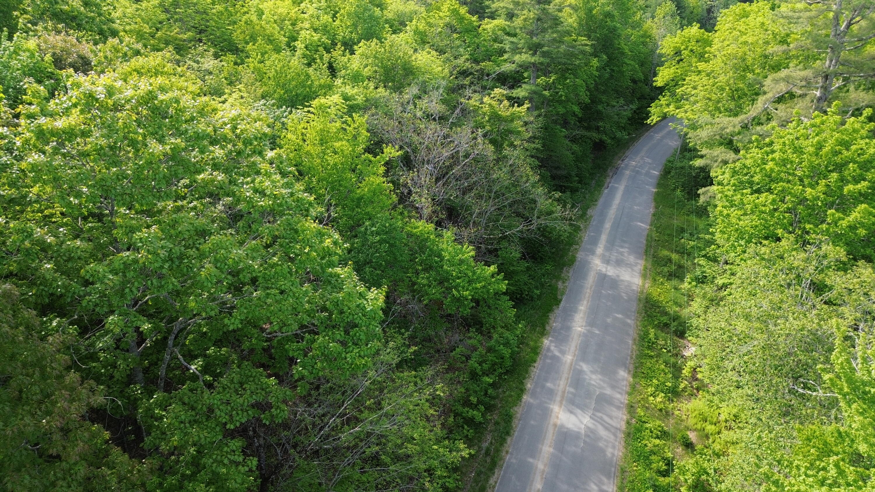 M5-l16 Clark Road Prospect, ME 04981 - Photo 3 of 45 DJI_0128