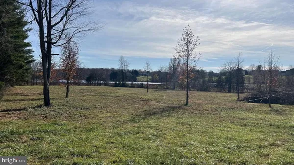 a view of a field