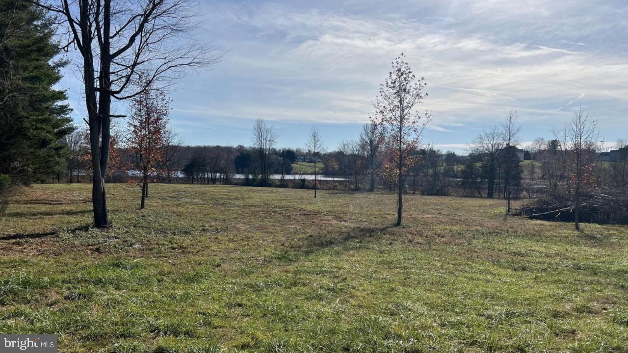 0 Riley Road Warrenton, VA 20187 - Photo 2 of 3 a view of a field