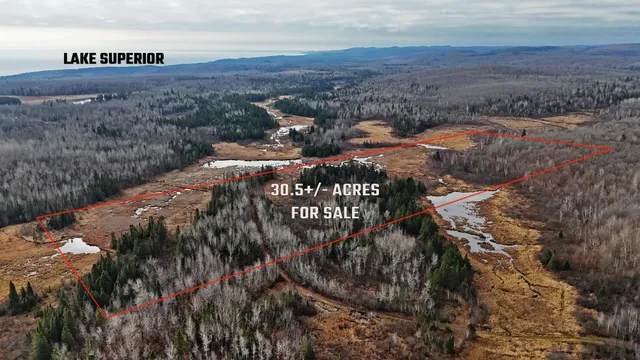 $55,000 | Tbd Zekes Road, Schroeder, MN 55613