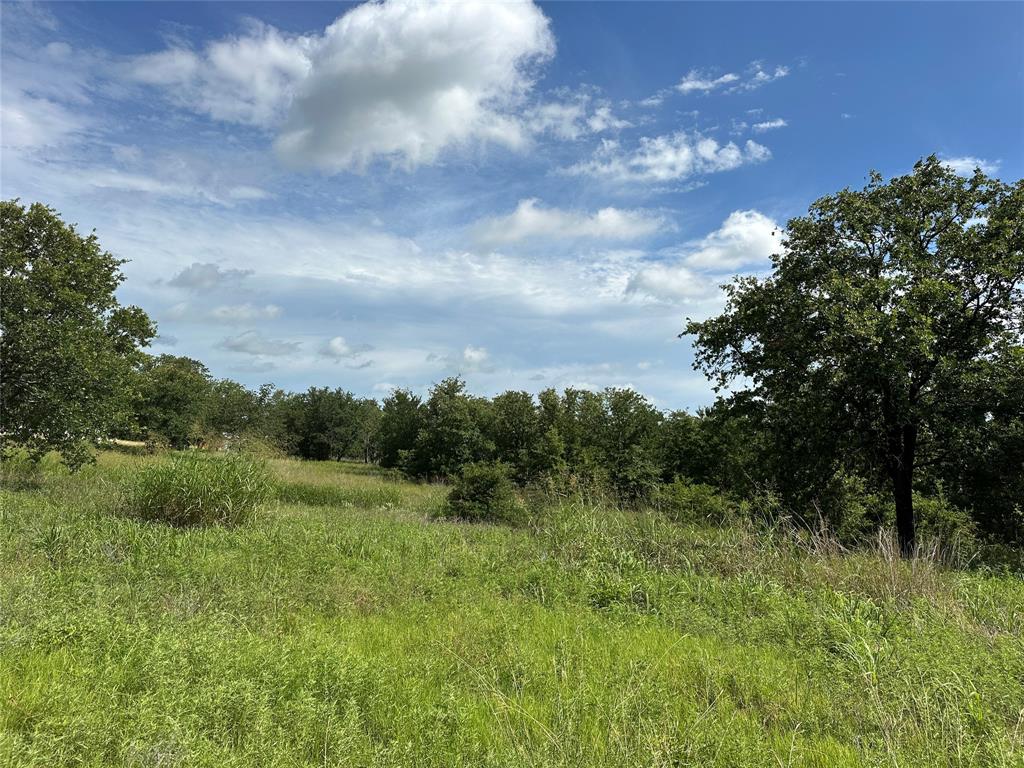 570 Big Salty Lane Springtown, TX 76082 - Photo 12 of 36 Expansive natural landscape with varied mature trees and abundant green foliage