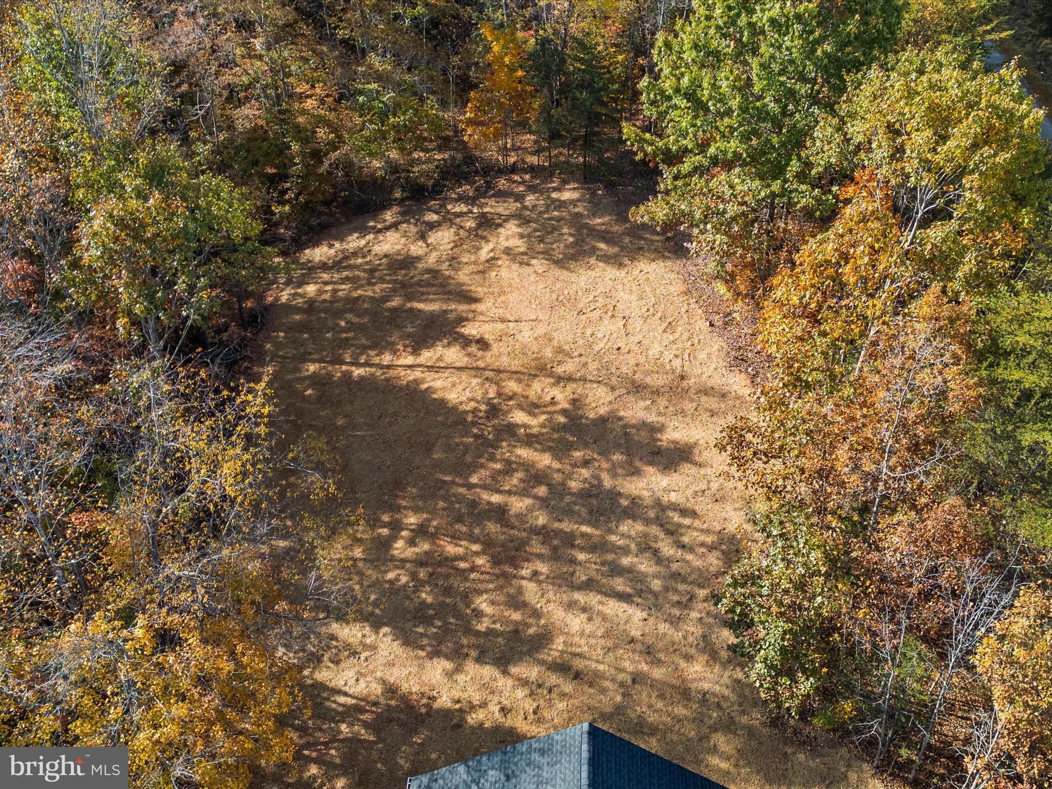 3281 Russel Run Road Locust Grove, VA 22508 - Photo 65 of 78 a view of a yard with a tree