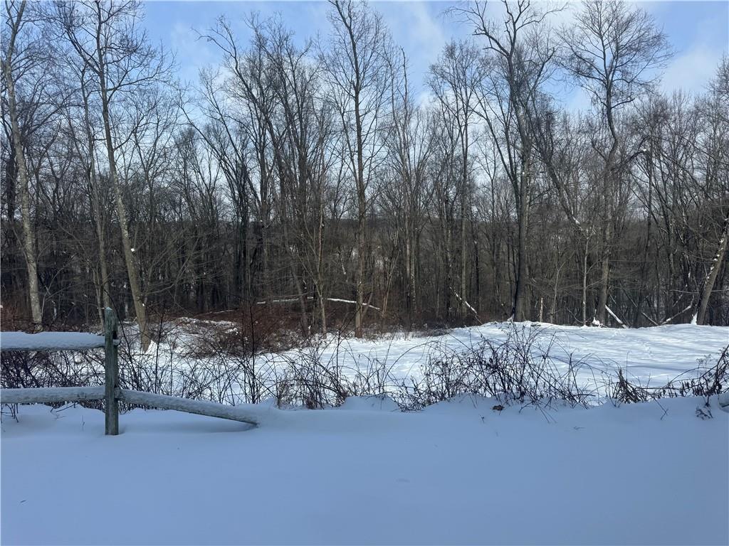 189 Hicks Road Renfrew, PA 16053 - Photo 3 of 23