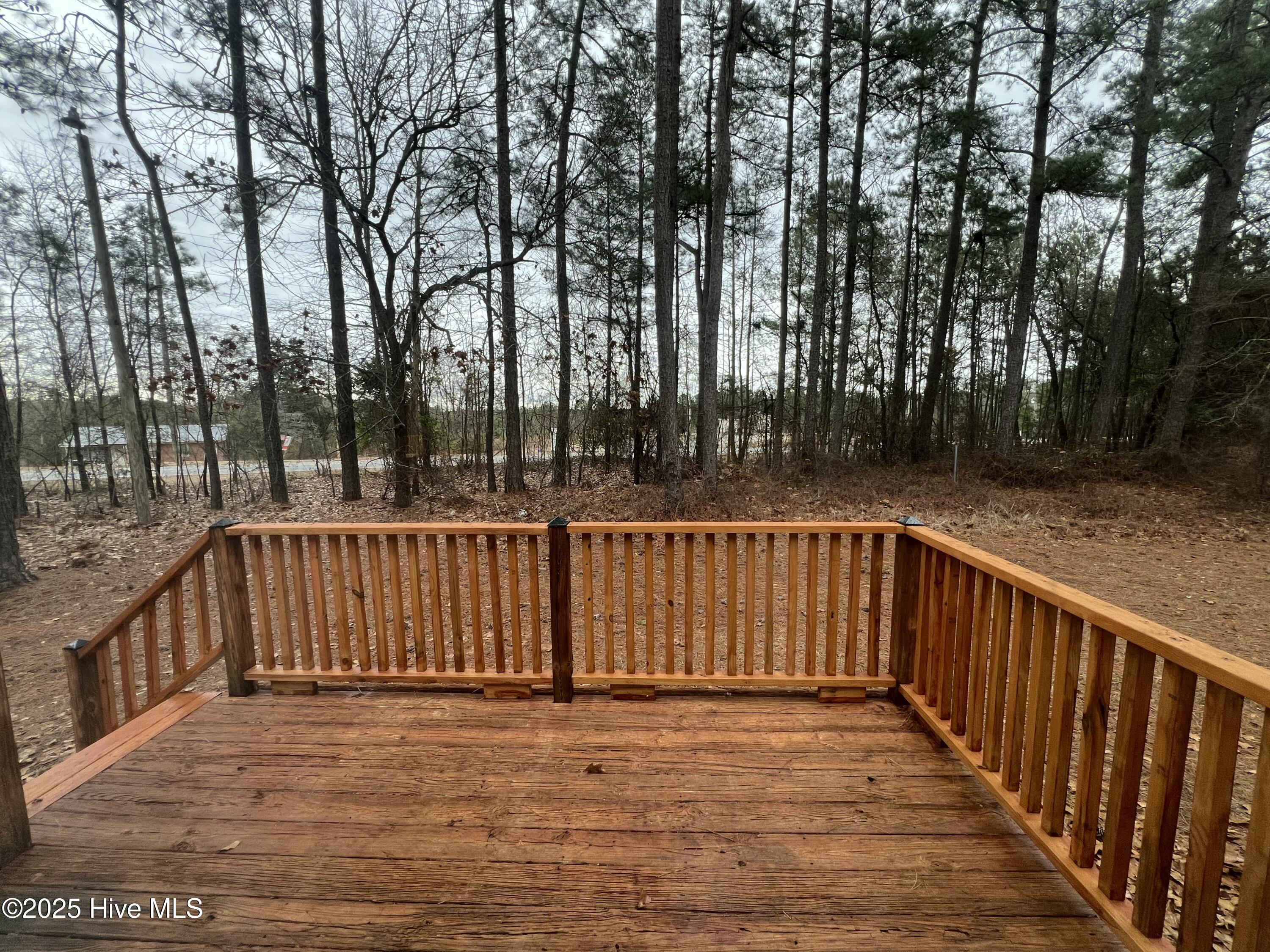 175 Travis Drive Cameron, NC 28326 - Photo 27 of 30 IMG_2935