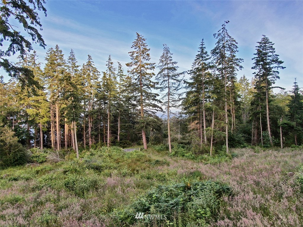 0 Fox Spit Road Langley, WA 98260 - Photo 12 of 40 Gallery Image 12