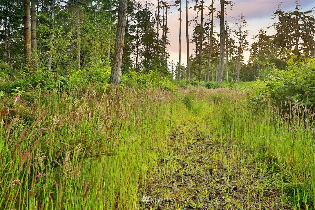 0 Fox Spit Road Langley, WA 98260 - Photo 15 of 40 Gallery Image 15