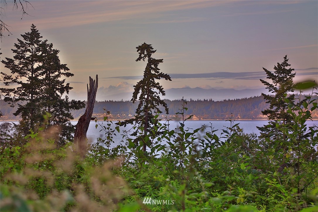 0 Fox Spit Road Langley, WA 98260 - Photo 21 of 40 Gallery Image 21