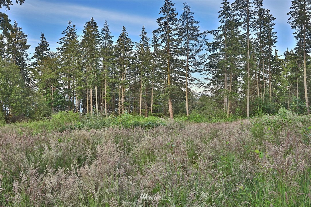 0 Fox Spit Road Langley, WA 98260 - Photo 23 of 40 Gallery Image 23