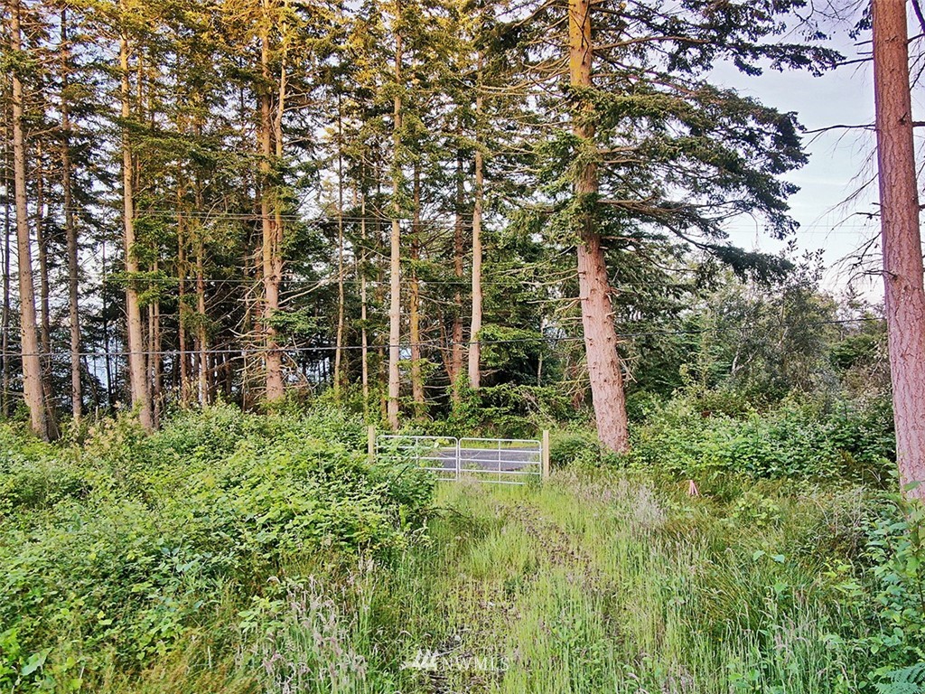0 Fox Spit Road Langley, WA 98260 - Photo 33 of 40 Gallery Image 33