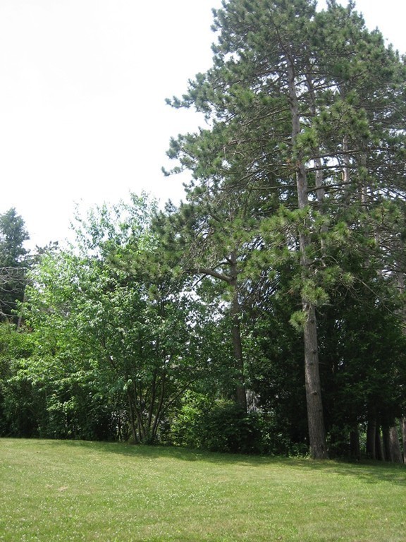46 Wachusett Road Gardner, MA 01440 - Photo 20 of 20 Gallery Image 20