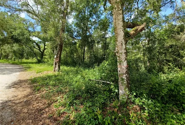 $130,000 | 40th, Webster, FL 33597