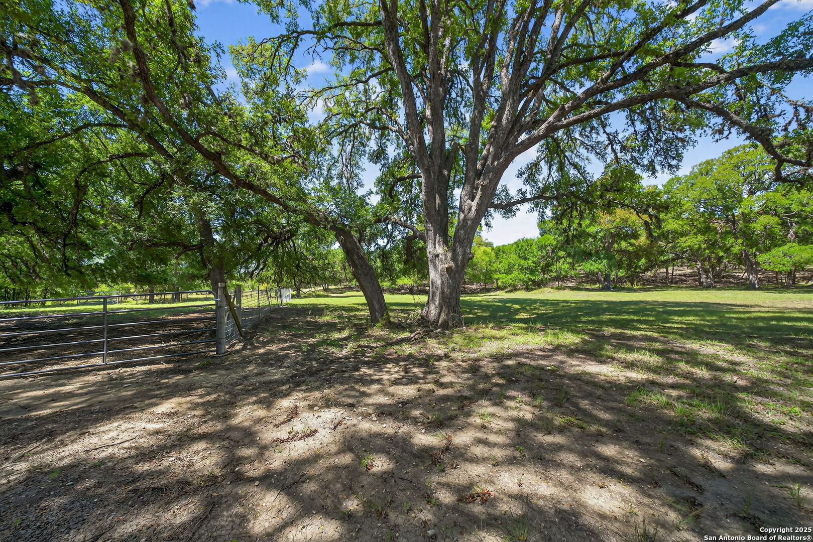 924 Wagon Creek Road Bandera, TX 78003 - Photo 26 of 33 a view of a forest with trees