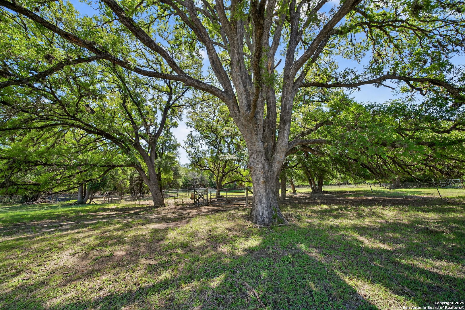 924 Wagon Creek Road Bandera, TX 78003 - Photo 27 of 33 a view of outdoor space with trees
