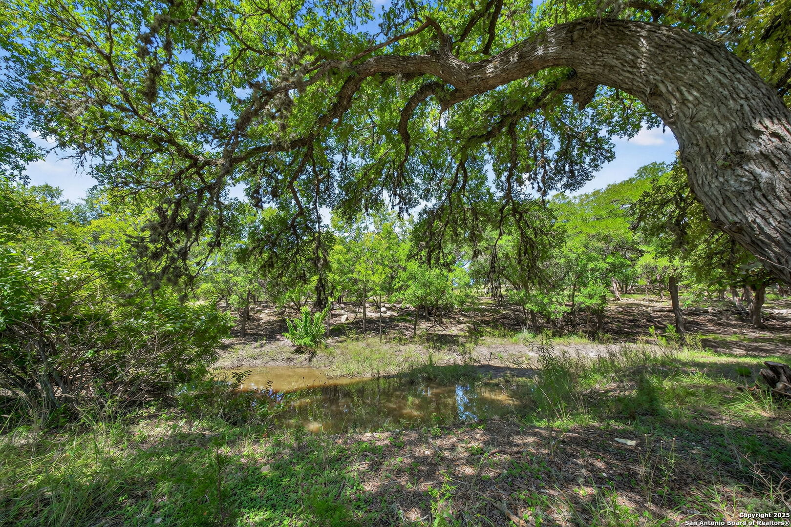 924 Wagon Creek Road Bandera, TX 78003 - Photo 28 of 33 a view of a lake with top of house