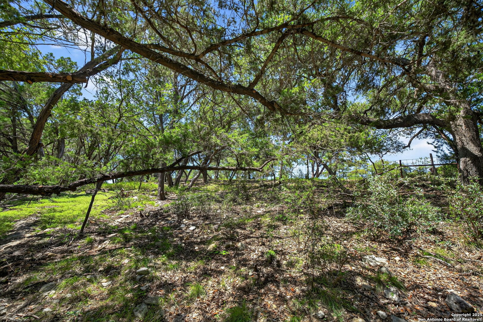 924 Wagon Creek Road Bandera, TX 78003 - Photo 31 of 33 a view of a yard with a tree
