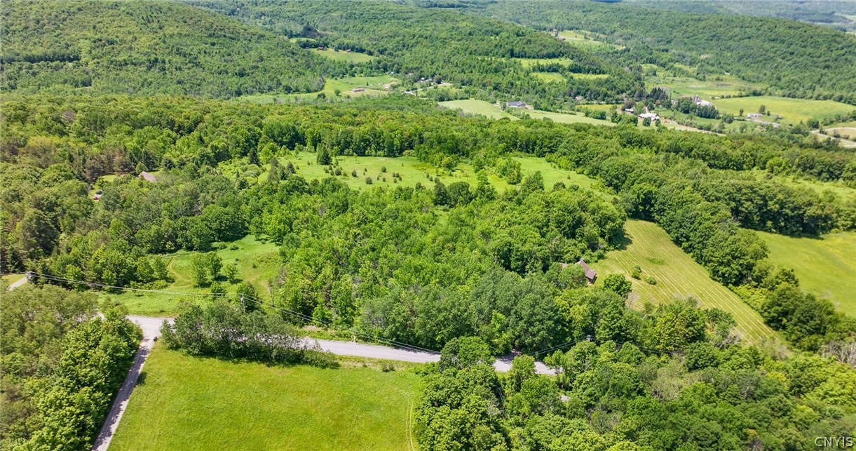 Bush Street Cobleskill, NY 12043 - Photo 11 of 12 Road frontage view of the land