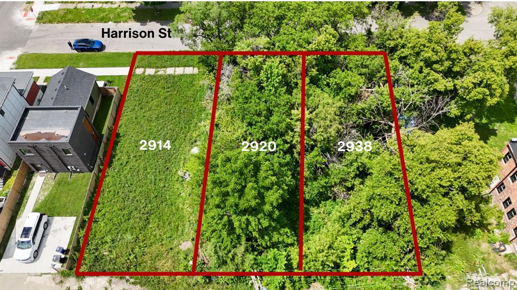 2914 Harrison Street Detroit, MI 48216 - Photo 1 of 4