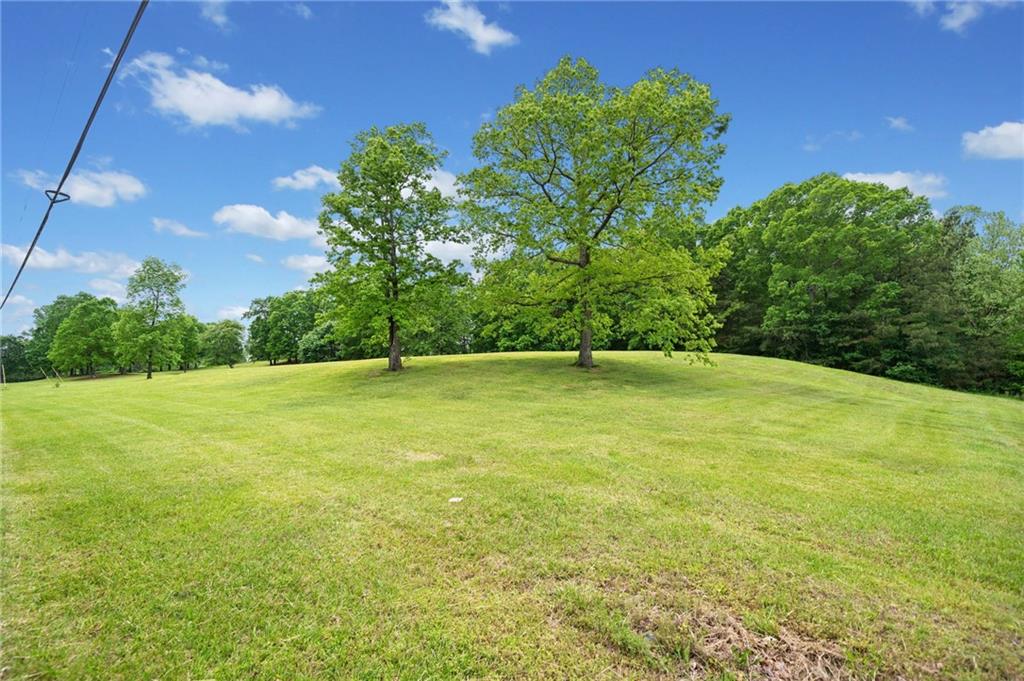 945 Old Federal Road South Chatsworth, GA 30705 - Photo 4 of 11