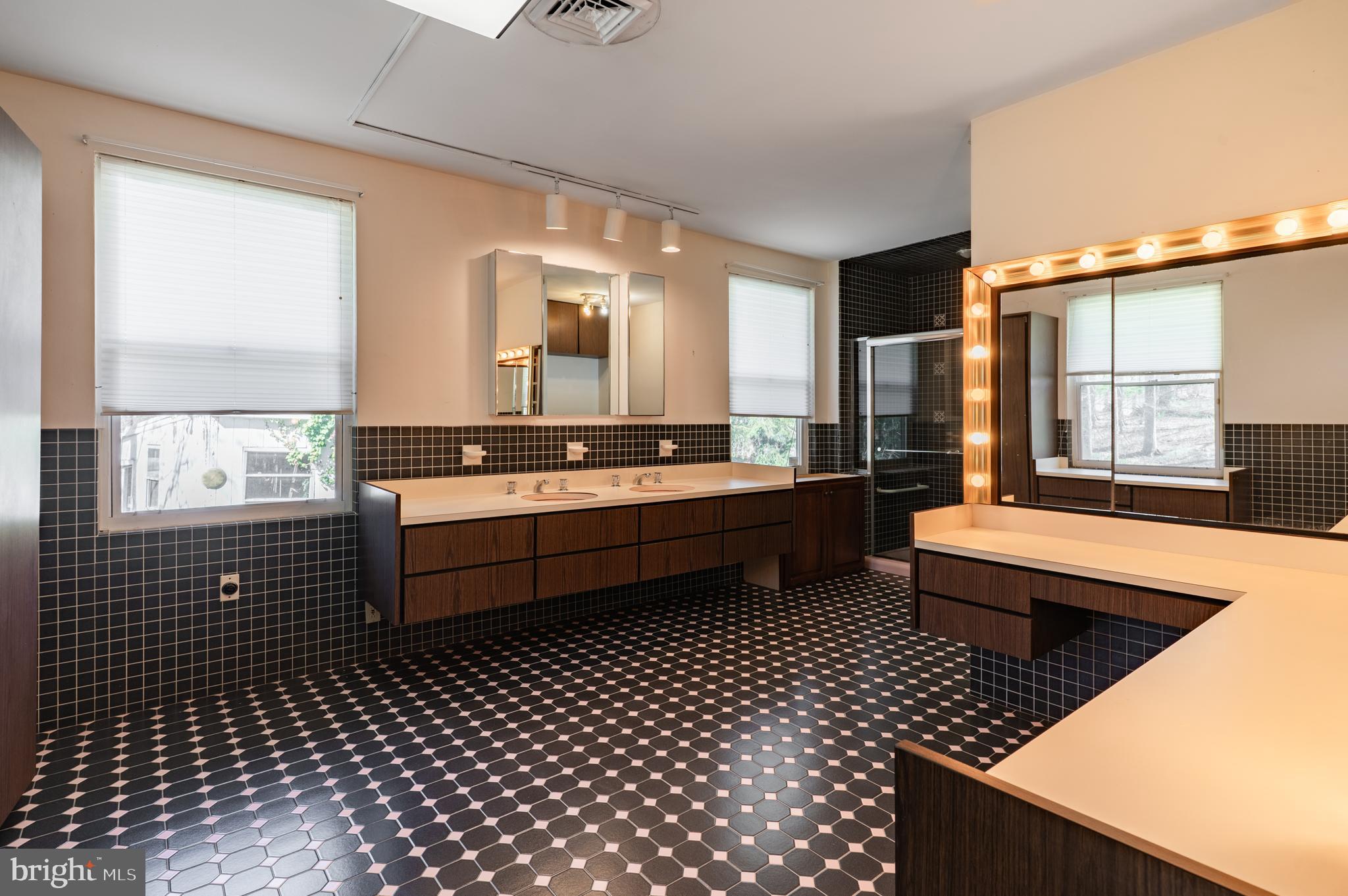 1211 East Butler Pike Ambler, PA 19002 - Photo 43 of 76 a bathroom with a sink a toilet and a shower