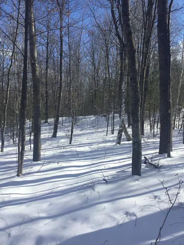 $50,000 | W9795 Makwa Court, Unit 62, Athelstane, WI 54104