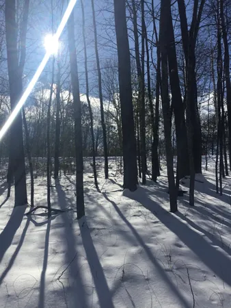 $50,000 | W9795 Makwa Court, Unit 62, Athelstane, WI 54104