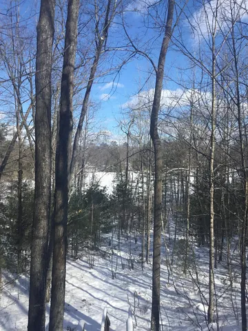 $50,000 | W9795 Makwa Court, Unit 62, Athelstane, WI 54104