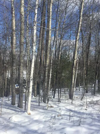 $50,000 | W9795 Makwa Court, Unit 62, Athelstane, WI 54104