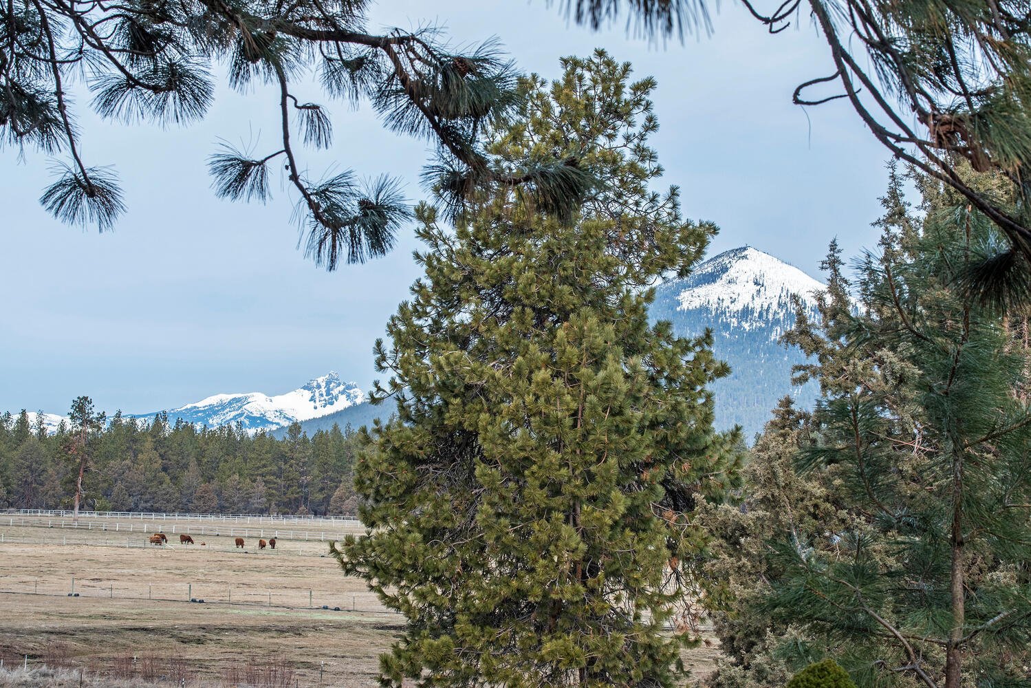 70065 Meadow View Road Sisters, OR 97759 - Photo 27 of 28 27
