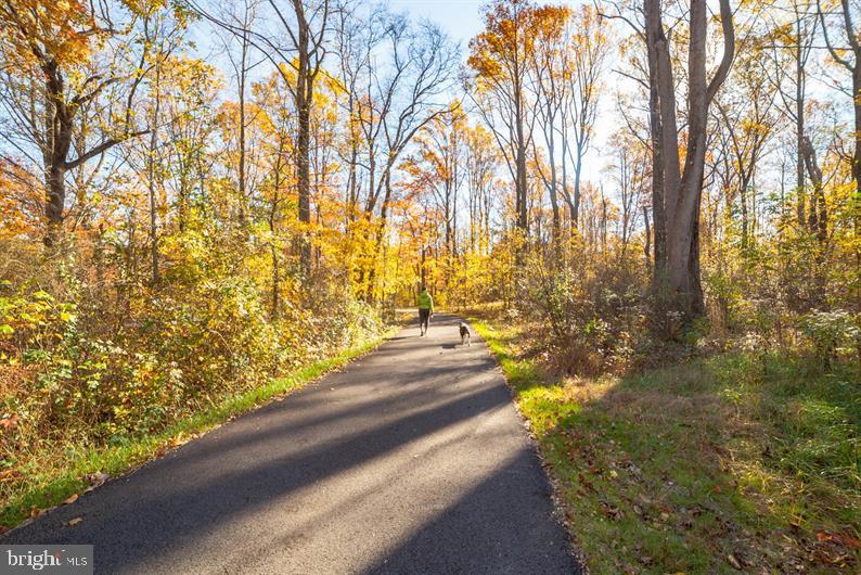 3452 Jacobs Ford Way Hanover, MD 21076 - Photo 3 of 28