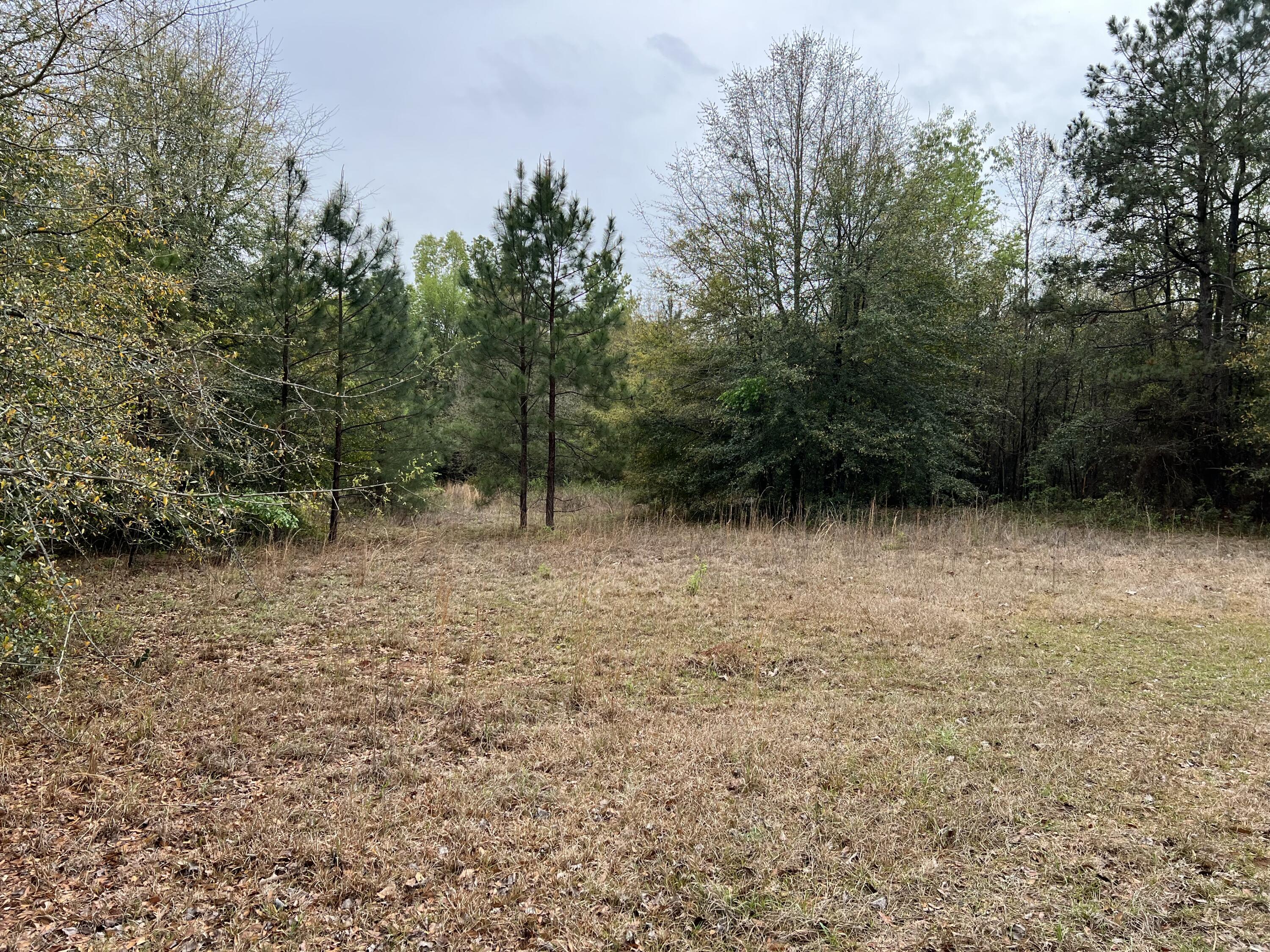 313 Northfield Road Waynesboro, GA 30830 - Photo 24 of 26 IMG_8621