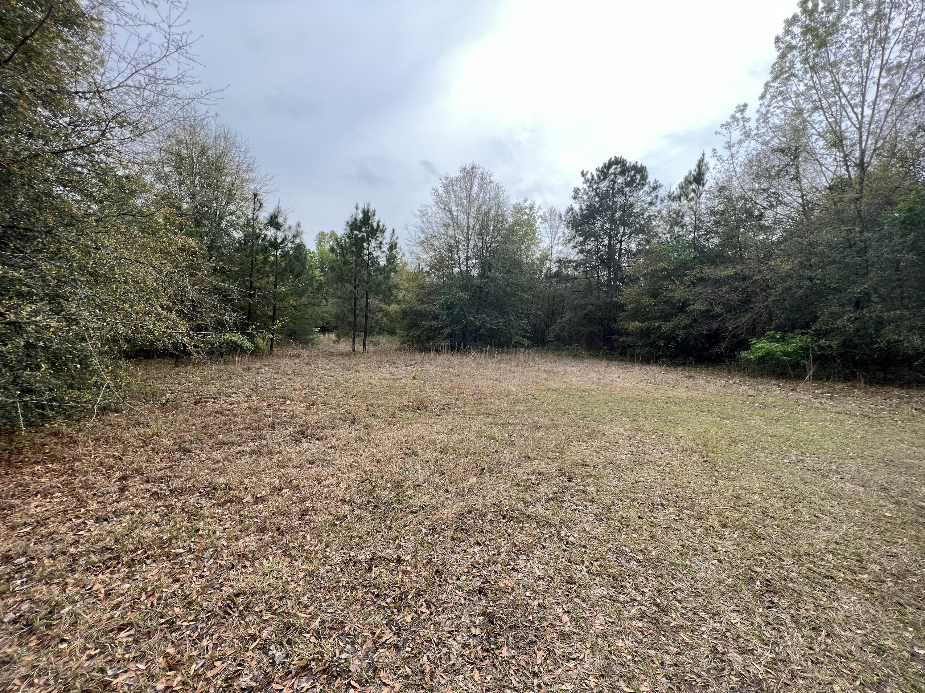 313 Northfield Road Waynesboro, GA 30830 - Photo 25 of 26 IMG_8620
