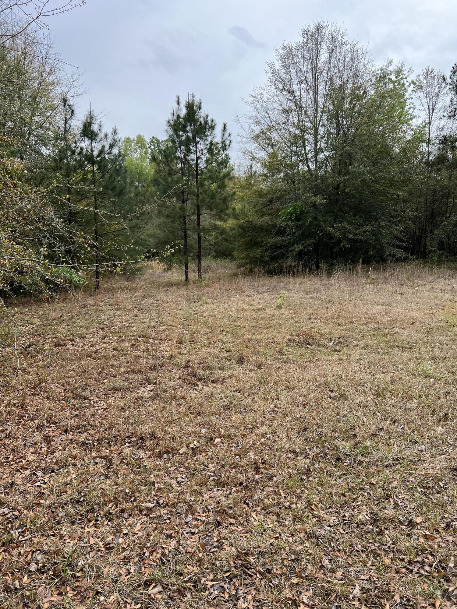 313 Northfield Road Waynesboro, GA 30830 - Photo 26 of 26 IMG_8622