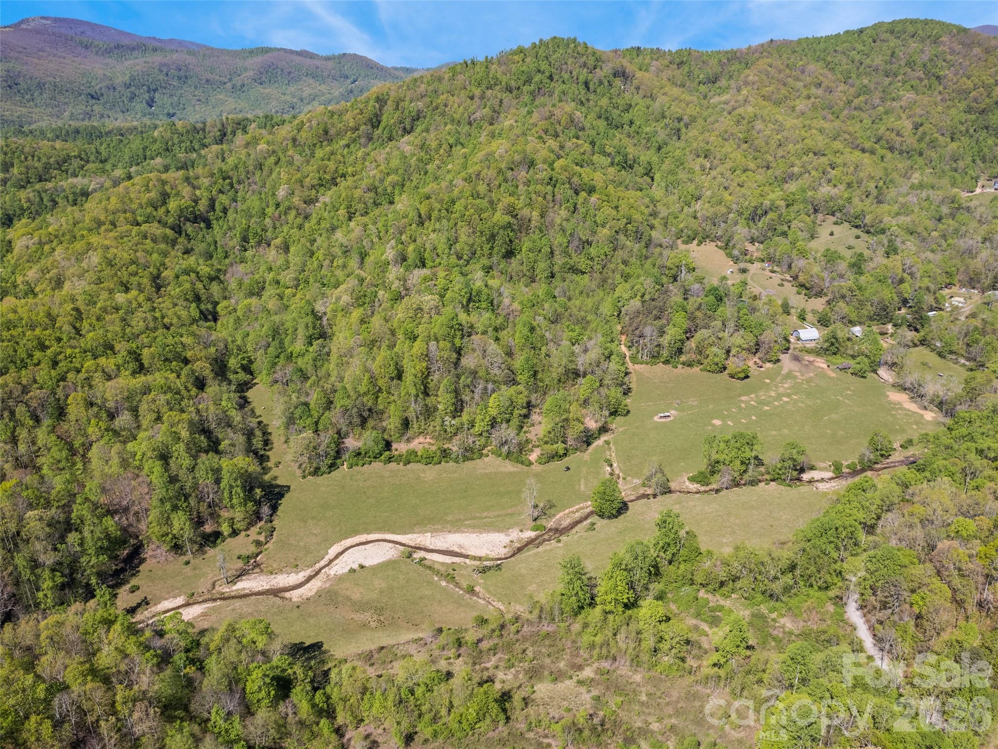 1372 Sand Branch Road Black Mountain, NC 28711 - Photo 1 of 45