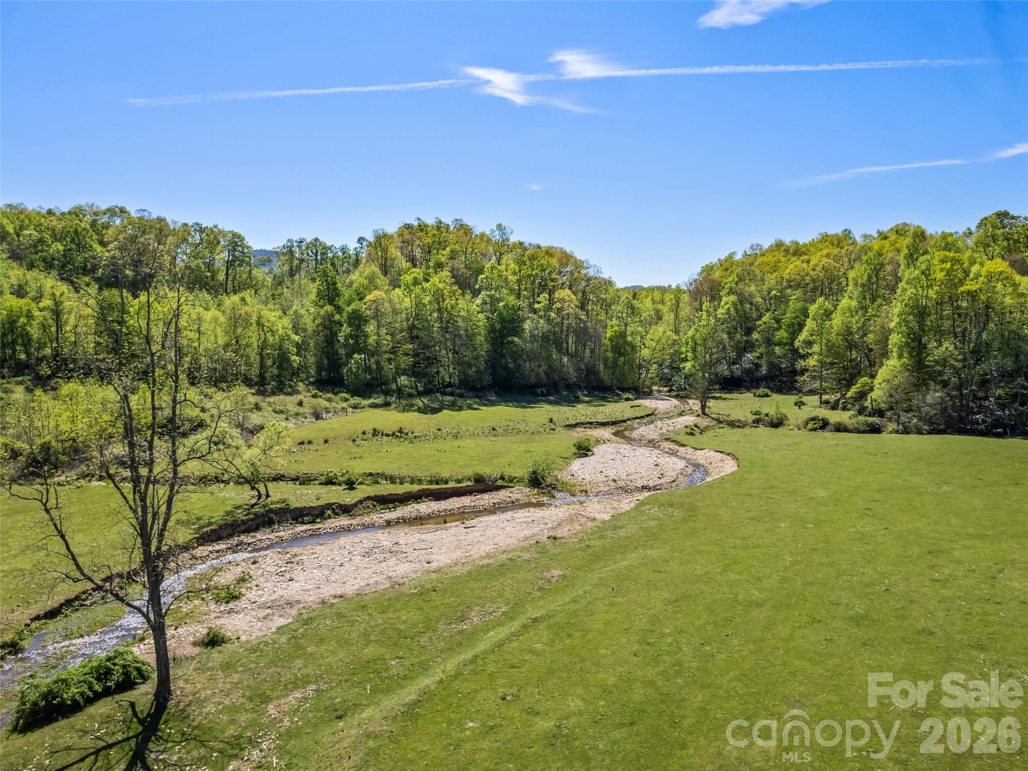 1372 Sand Branch Road Black Mountain, NC 28711 - Photo 11 of 45 a view of a field with an trees
