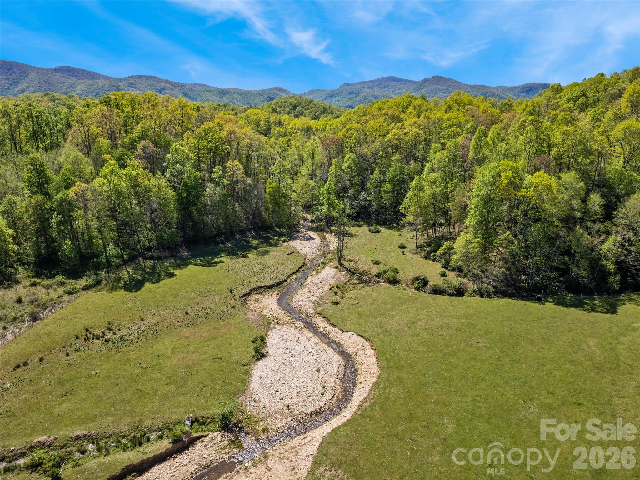 1372 Sand Branch Road Black Mountain, NC 28711 - Photo 12 of 45 a view of a yard with mountains