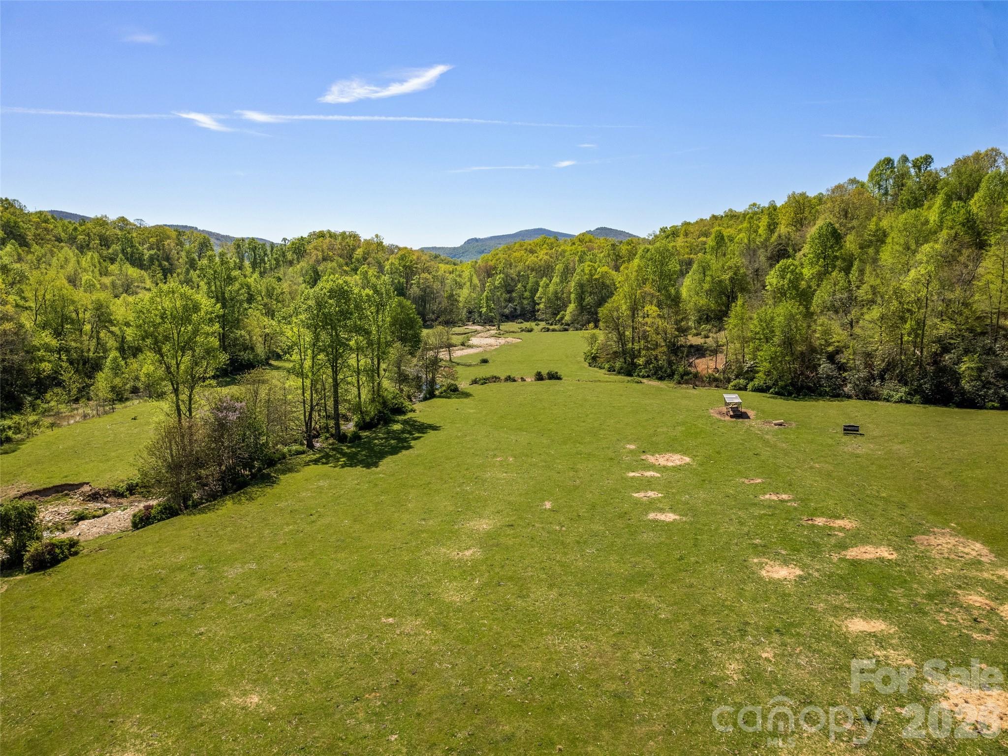1372 Sand Branch Road Black Mountain, NC 28711 - Photo 14 of 45 a view of an outdoor space and a yard