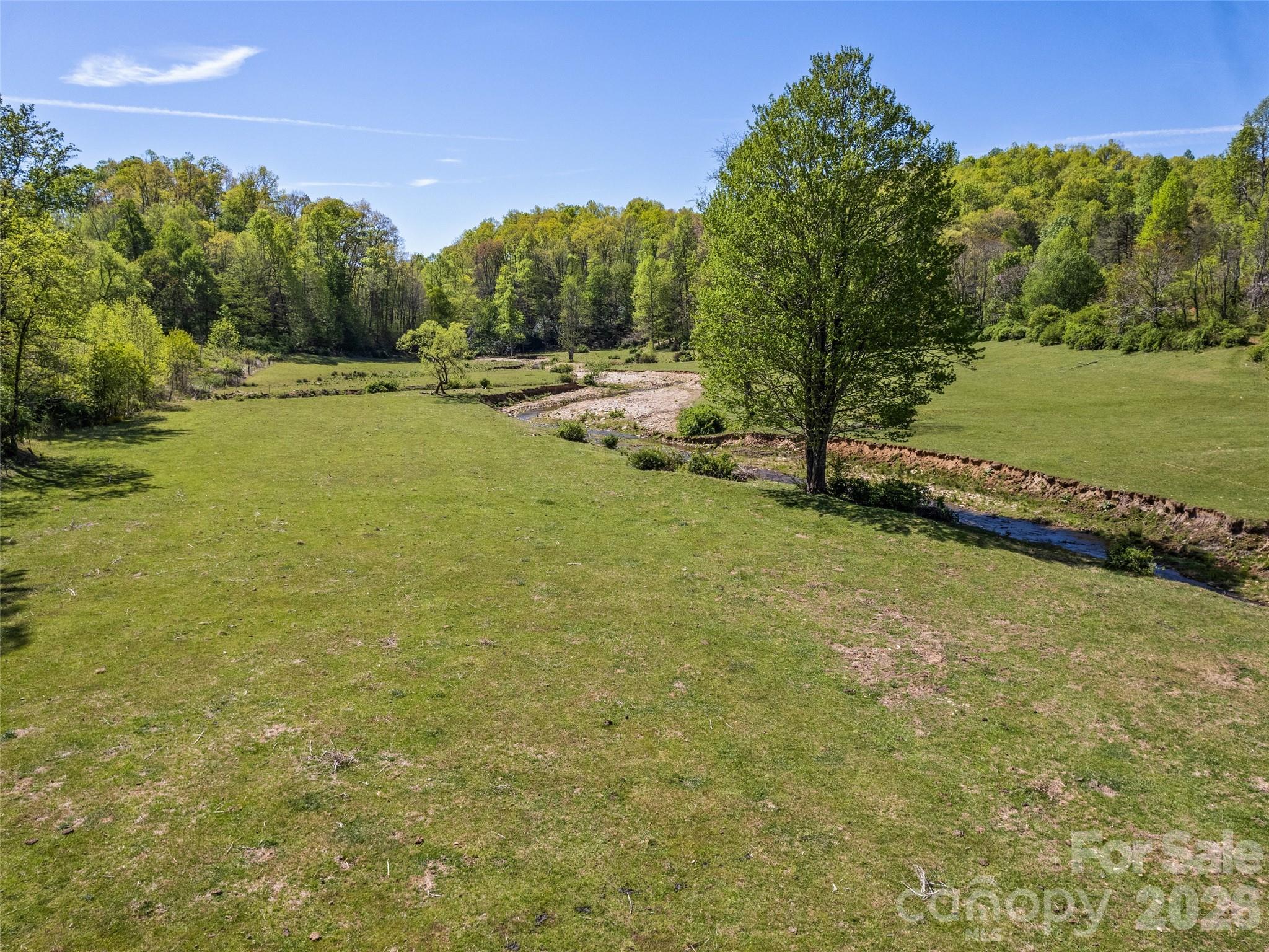 1372 Sand Branch Road Black Mountain, NC 28711 - Photo 16 of 45 a view of a field with an trees