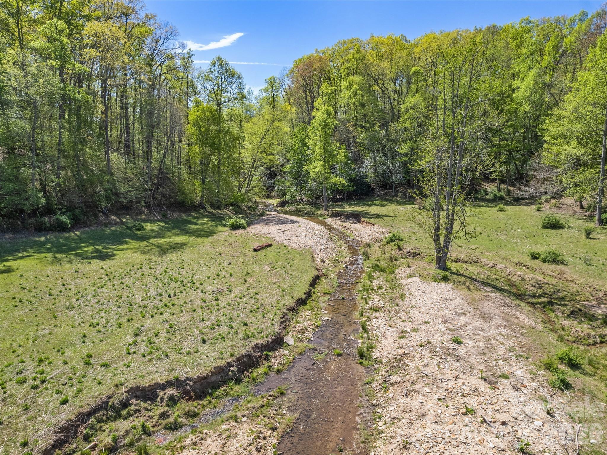 1372 Sand Branch Road Black Mountain, NC 28711 - Photo 17 of 45 a view of a yard with large trees