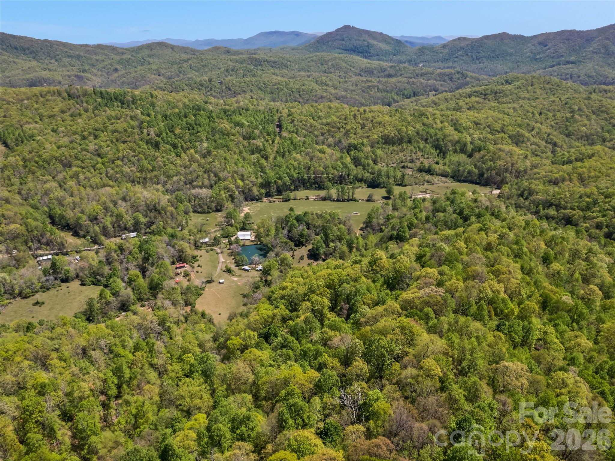 1372 Sand Branch Road Black Mountain, NC 28711 - Photo 19 of 45 a view of a forest with a street