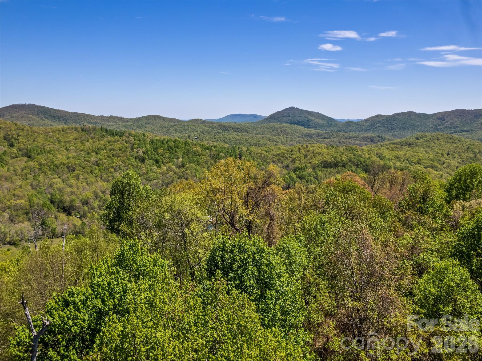 1372 Sand Branch Road Black Mountain, NC 28711 - Photo 20 of 45 a view of a city with mountains in the background