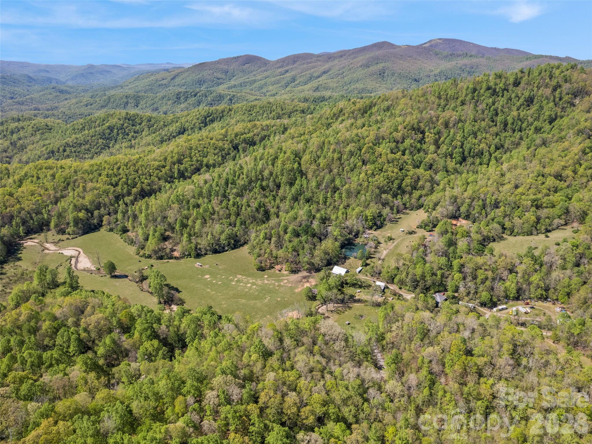 1372 Sand Branch Road Black Mountain, NC 28711 - Photo 2 of 45 a view of a lush green hillside and houses