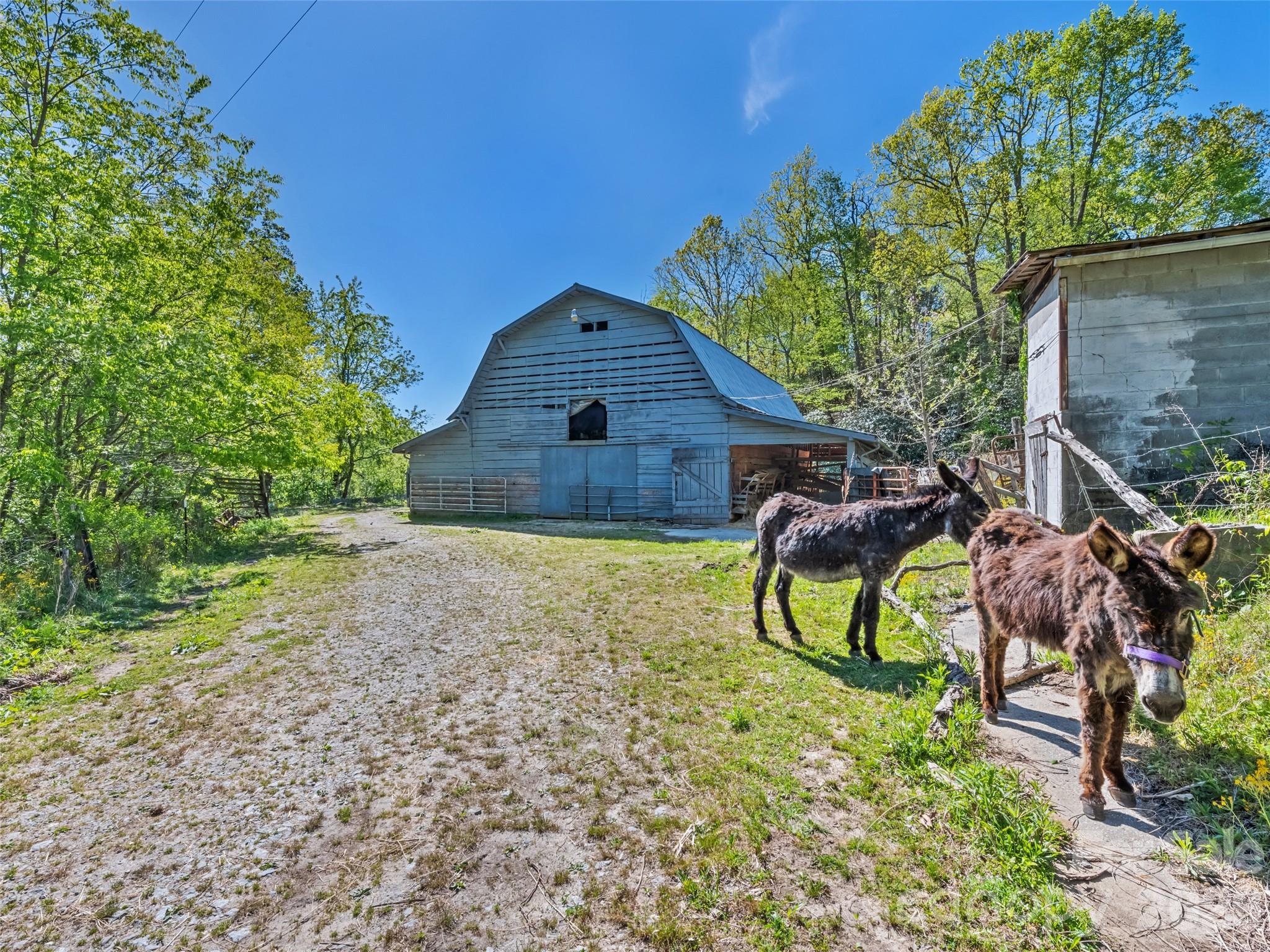 1372 Sand Branch Road Black Mountain, NC 28711 - Photo 21 of 45 a house view with a backyard space