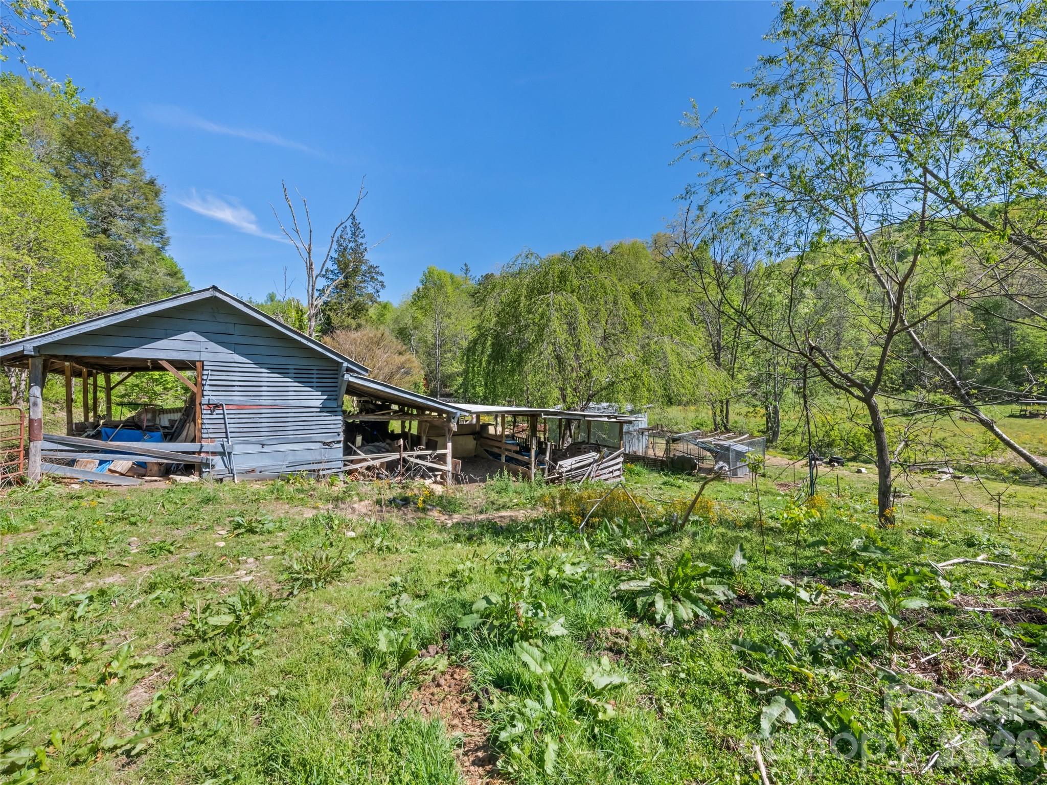 1372 Sand Branch Road Black Mountain, NC 28711 - Photo 22 of 45 a backyard of a house with lots of green space
