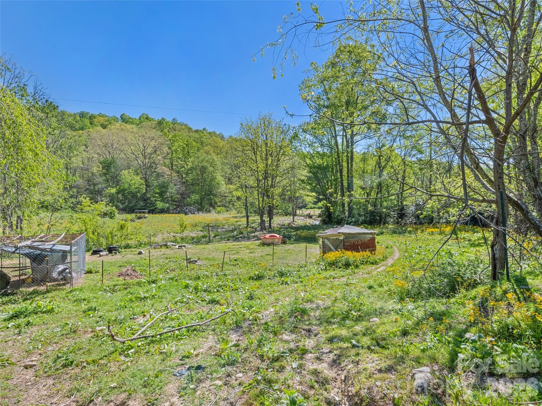 1372 Sand Branch Road Black Mountain, NC 28711 - Photo 23 of 45 a view of a garden with an outdoor space